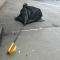 Discarded Umbrella Carcasses, NYC