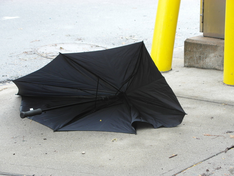 Discarded Umbrella Carcasses, NYC