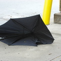 Discarded Umbrella Carcasses, NYC