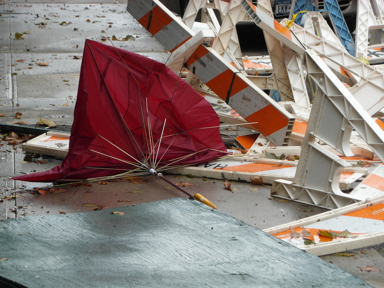 Discarded Umbrella Carcasses, NYC