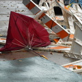 Discarded Umbrella Carcasses, NYC