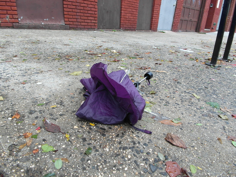 Discarded Umbrella Carcasses, NYC