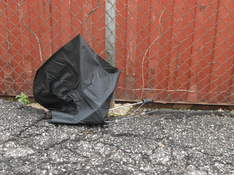 Discarded Umbrella Carcasses, NYC