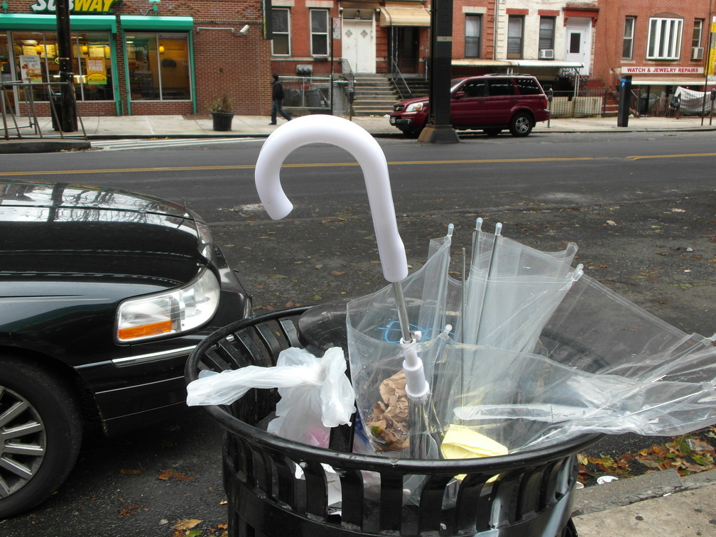 Discarded Umbrella Carcasses, NYC