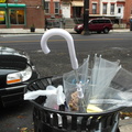 Discarded Umbrella Carcasses, NYC