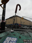 Discarded Umbrella Carcasses, NYC