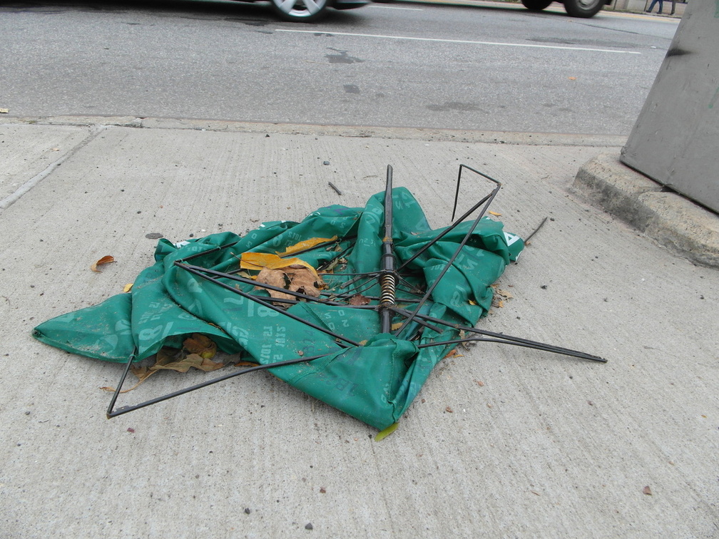 Discarded Umbrella Carcasses, NYC