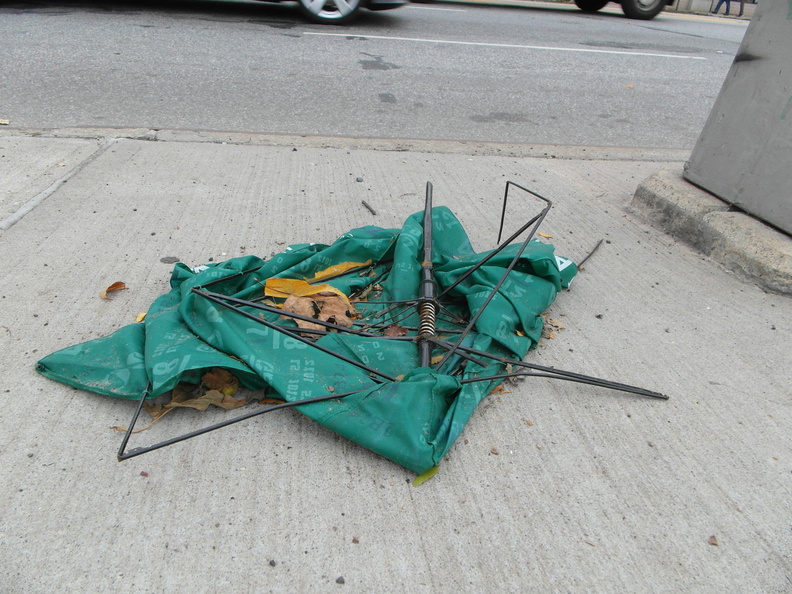 Discarded Umbrella Carcasses, NYC