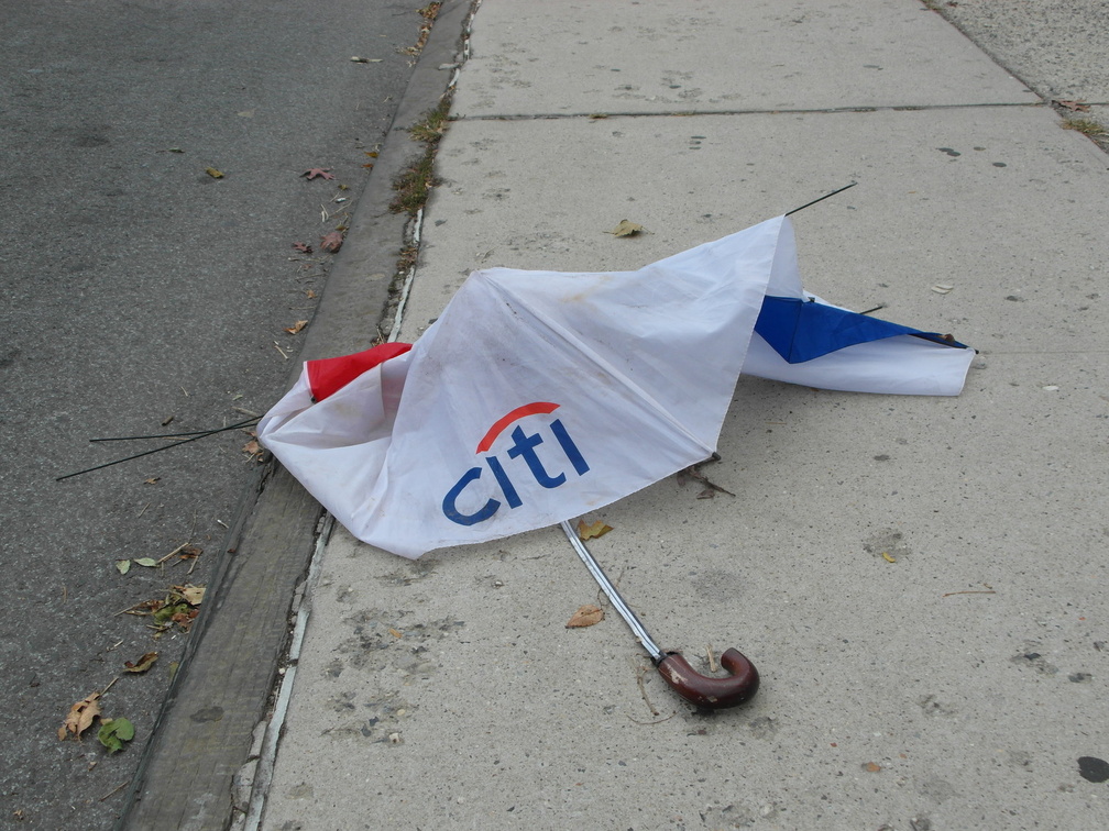 Discarded Umbrella Carcasses, NYC