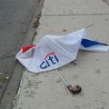 Discarded Umbrella Carcasses, NYC