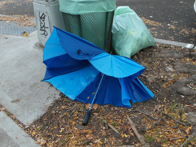 Discarded Umbrella Carcasses, NYC