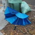 Discarded Umbrella Carcasses, NYC