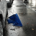 Discarded Umbrella Carcasses, NYC