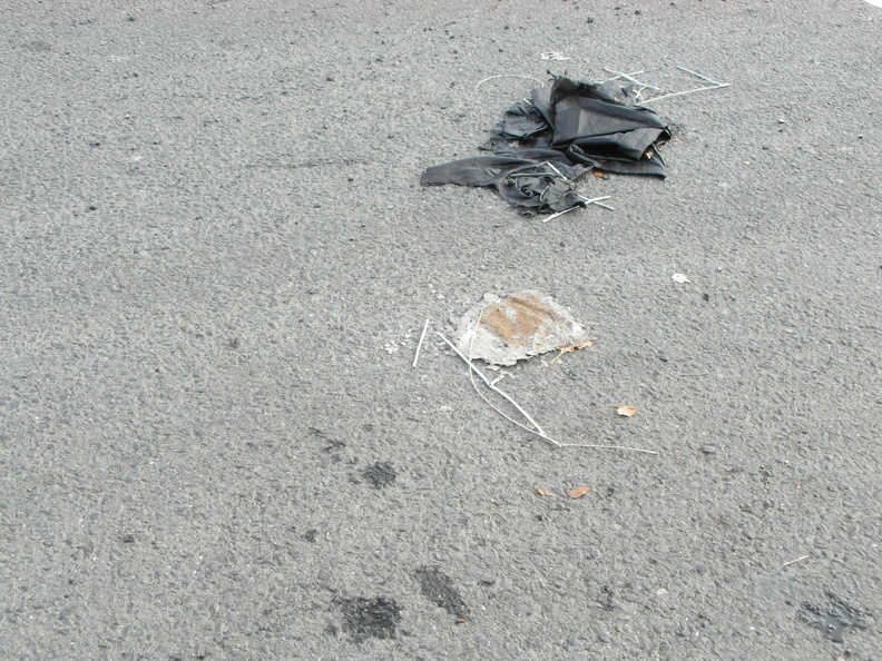 Discarded Umbrella Carcasses, NYC