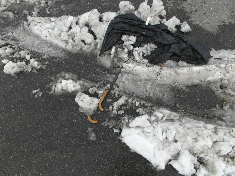 Discarded Umbrella Carcasses, NYC