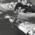 Discarded Umbrella Carcasses, NYC