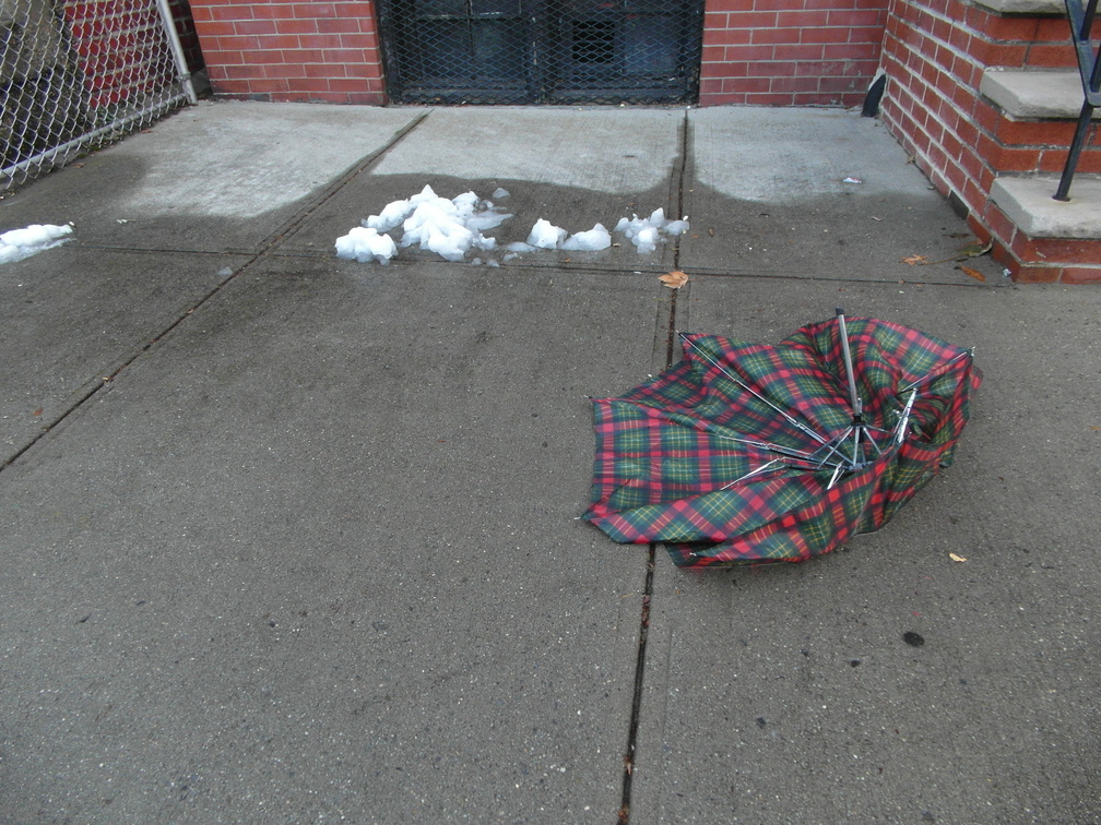 Discarded Umbrella Carcasses, NYC