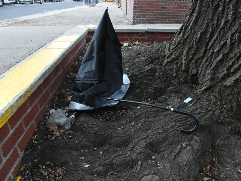 Discarded Umbrella Carcasses, NYC