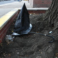 Discarded Umbrella Carcasses, NYC