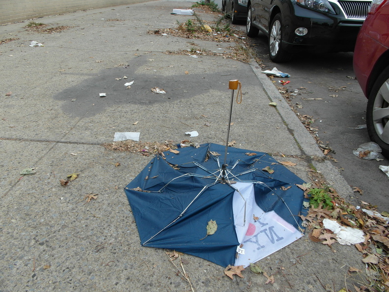 Discarded Umbrella Carcasses, NYC