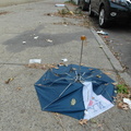 Discarded Umbrella Carcasses, NYC