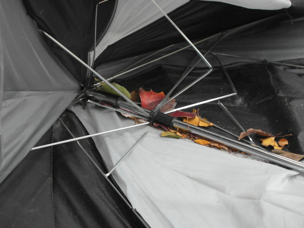 Discarded Umbrella Carcasses, NYC