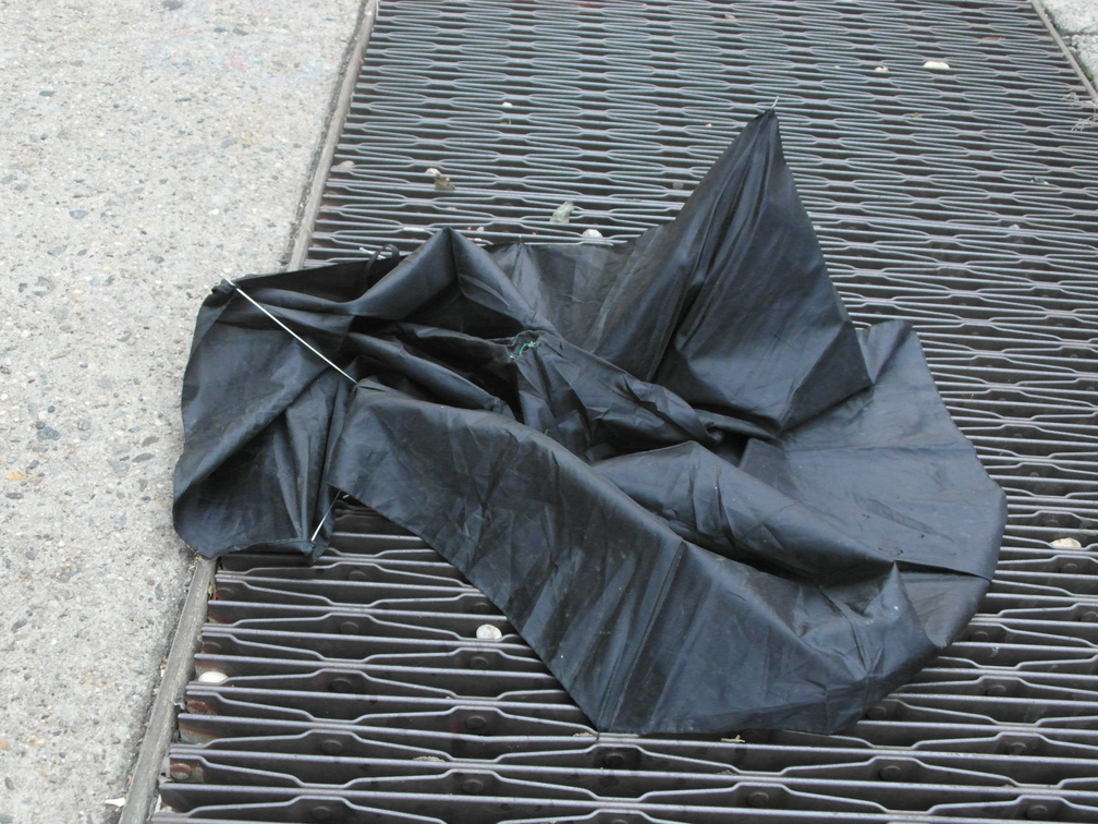 Discarded Umbrella Carcasses, NYC