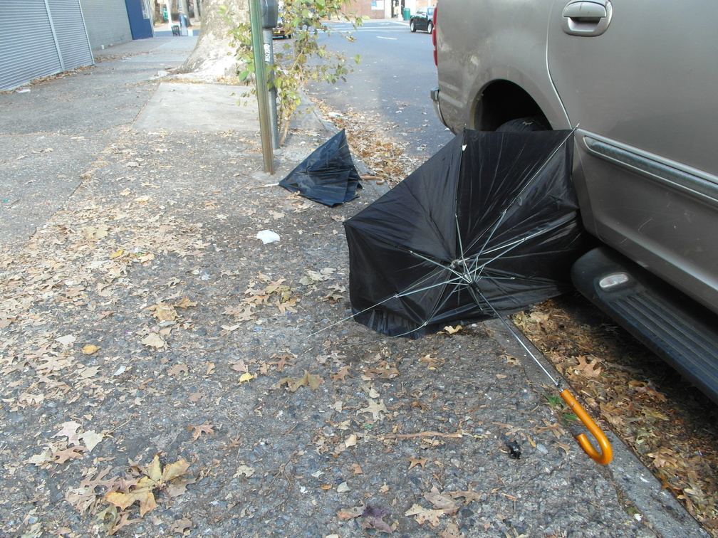 Discarded Umbrella Carcasses, NYC