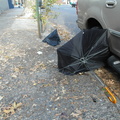 Discarded Umbrella Carcasses, NYC