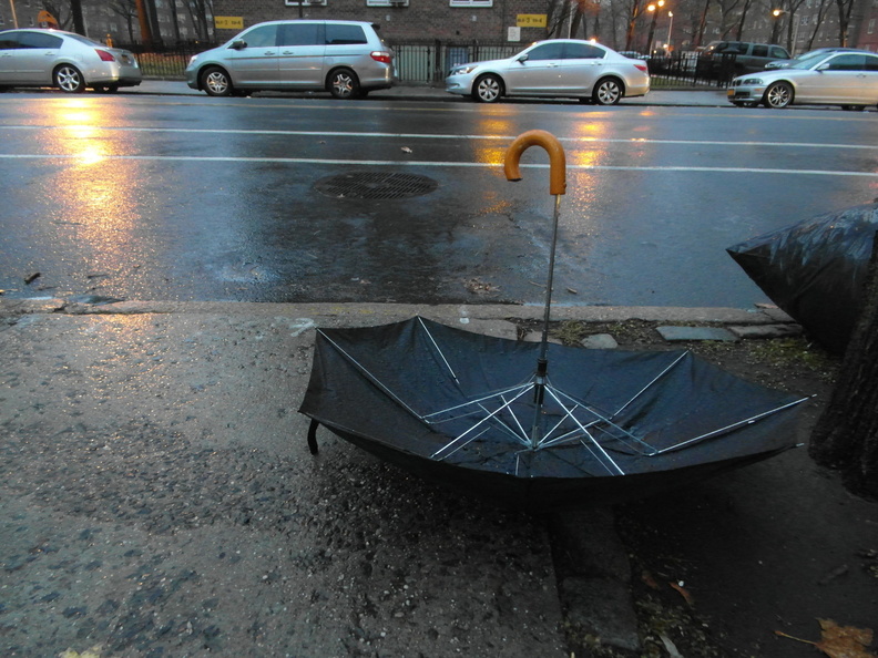 Discarded Umbrella Carcasses, NYC