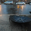 Discarded Umbrella Carcasses, NYC