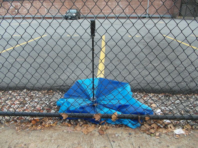 Discarded Umbrella Carcasses, NYC