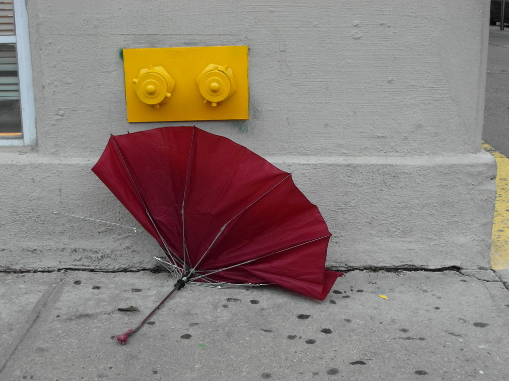 Discarded Umbrella Carcasses, NYC