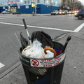 Discarded Umbrella Carcasses, NYC