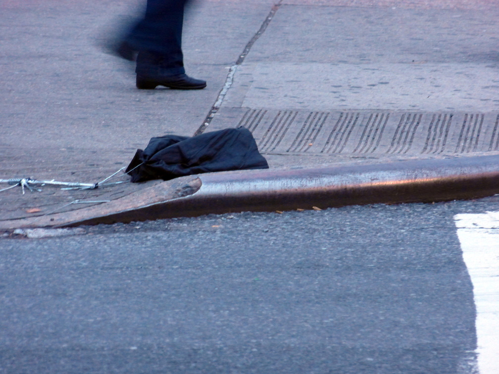 Discarded Umbrella Carcasses, NYC