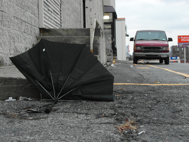 Discarded Umbrella Carcasses, NYC