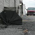 Discarded Umbrella Carcasses, NYC