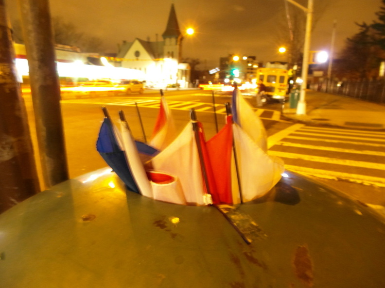 Discarded Umbrella Carcasses, NYC