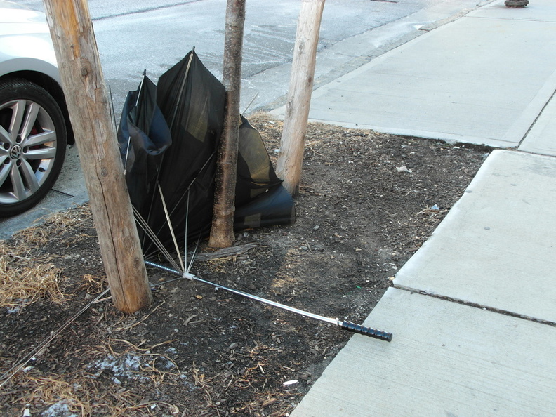 Discarded Umbrella Carcasses, NYC