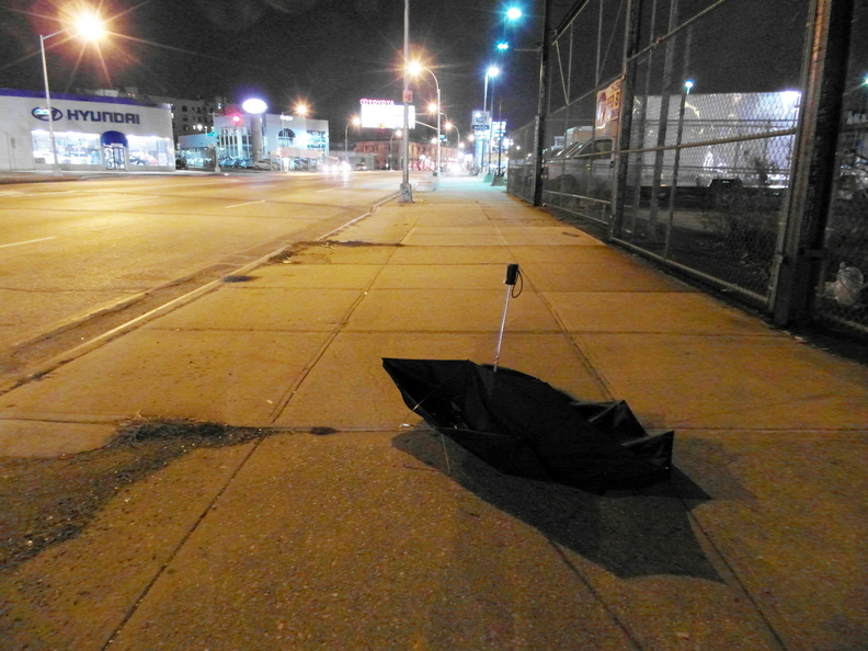 Discarded Umbrella Carcasses, NYC