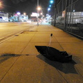 Discarded Umbrella Carcasses, NYC