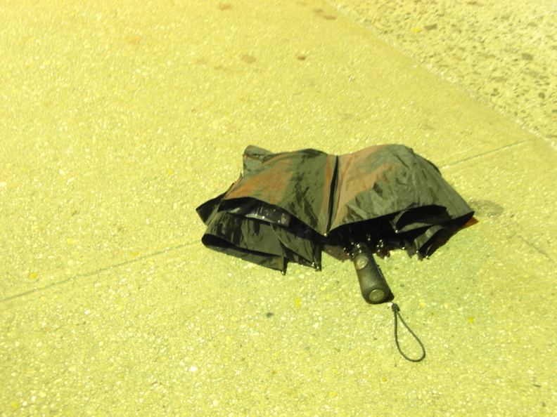 Discarded Umbrella Carcasses, NYC