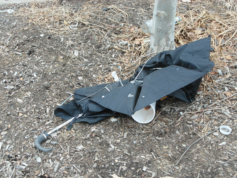 Discarded Umbrella Carcasses, NYC