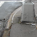 Discarded Umbrella Carcasses, NYC