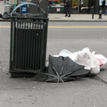 Discarded Umbrella Carcasses, NYC