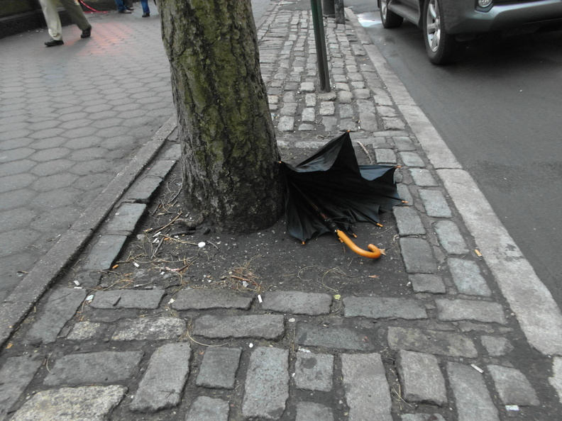 Discarded Umbrella Carcasses, NYC