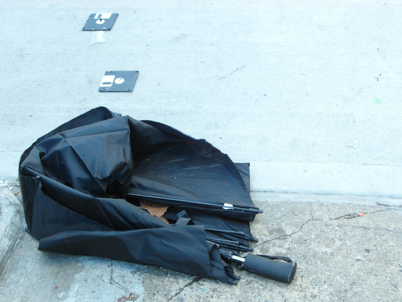 Discarded Umbrella Carcasses, NYC