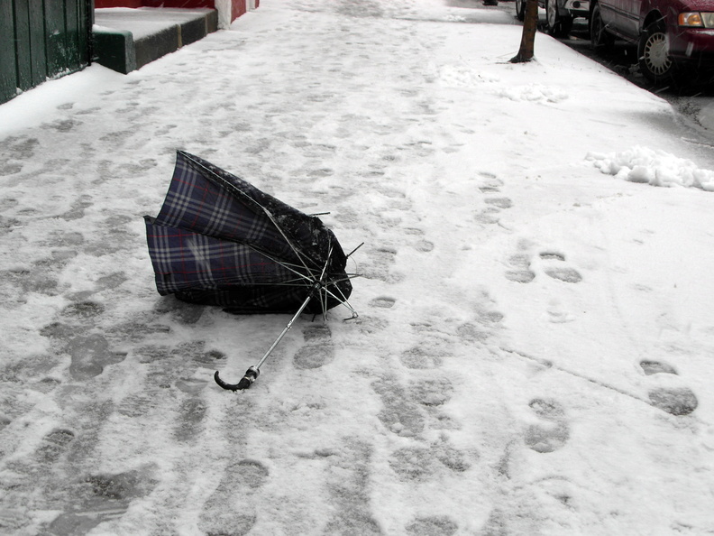 Discarded Umbrella Carcasses, NYC