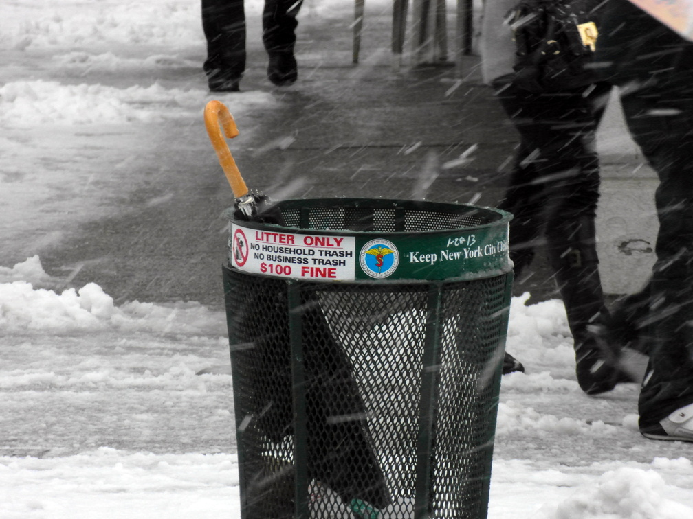 Discarded Umbrella Carcasses, NYC