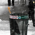 Discarded Umbrella Carcasses, NYC